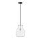 Z-Lite Bella 1 Light Mini Pendant, Matte Black & Clear 476P-ROD-MB-BN - alternate 7